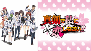 真剣で私に恋しなさい!! (放送版)の画像